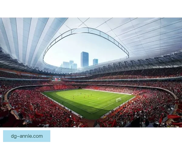 新疆伊宁青年投资建标准足球场